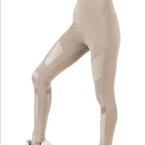 Alo leggings under label La society.